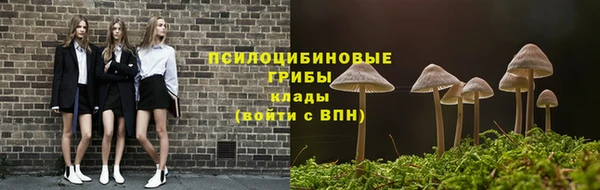 СК Верхний Тагил