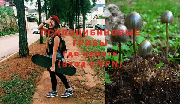 apvp Пролетарск